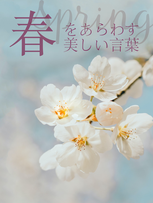 ことばの玉手箱